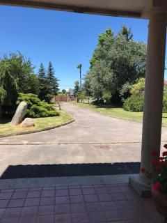 Villa las camelias - 4