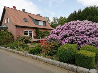 Ferienwohnung Bachmanns Ruh - Wietzendorf - 7