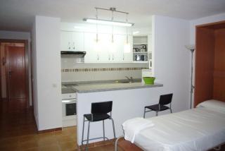 Las Palmeras III- Fincas Arena - Benidorm - 3