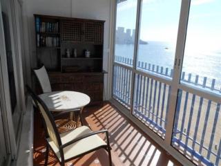 Las Palmeras III- Fincas Arena - Benidorm - 2