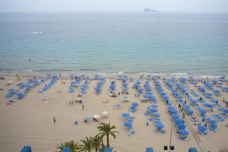 Las Palmeras III- Fincas Arena - Benidorm - 0