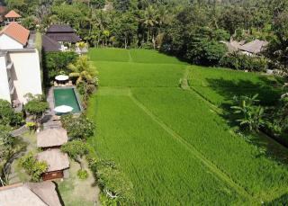 Byasa Ubud - Ubud - 0