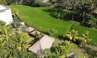 Byasa Ubud - Ubud - 9