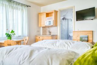 Gästehaus Weingut Politschek - Bad Friedrichshall - 3