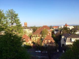 GANZALIESELE - Colmar - 8