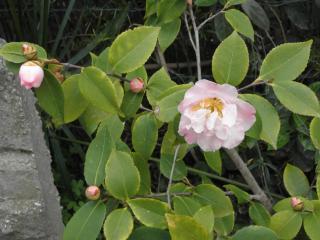 RITA'S ROOM ON THE SEA - 4