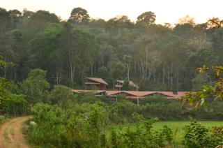 Estate Stay - Riverside Coffee - Siddapur - 8