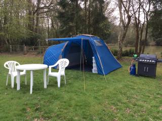 The Firs - Ashford - 8