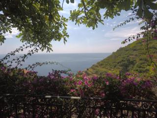 OLD FARM HOUSE - Riomaggiore - 9