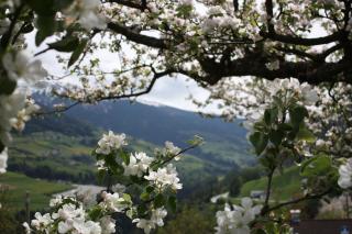 Stolznhof - Schönberg im Stubaital - 8