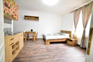 FLH - Central Apartments - Sibiu - 9