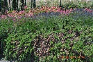 ibis budget Istres Trigance - Istres - 3