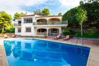 Laurel - Jávea - 0