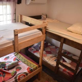 Casa turtle Bogue - 9