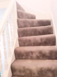 96 Rochester Street - Chatham - 6