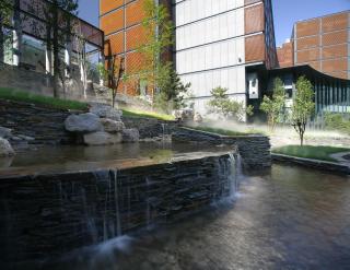 The Lakeview Hotel - 1