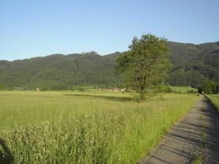 Ferienwohnungen Rosenegger - Staudach-Egerndach - 2