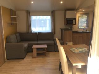 Mobilhome Landes Les Dunes de Contis - Saint-Julien-en-Born - 8