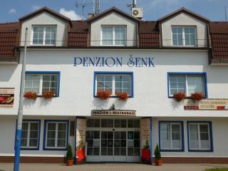 Penzion Šenk Pardubice - Pardubice - 1