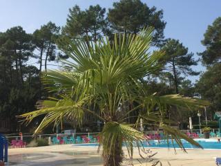 Mobilhome Landes Les Dunes de Contis - 3