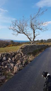 Cottages Lyndale Farm - 8