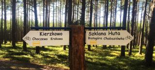 Siedlisko Kierzkowo - Kierzkowo - 2