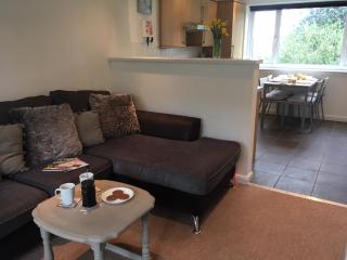 Newquay Villa 127 - 7