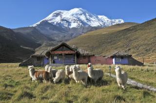 Chimborazo Lodge - 1
