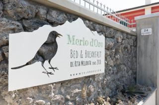 Merlo d'Oro - Carrara - 4