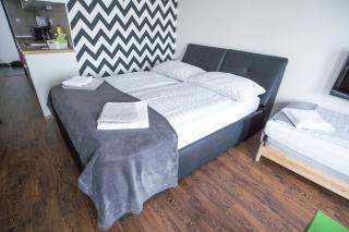 Haas Apartments Downtown with Parking - Brno - 8