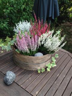 Privatzimmer Kempen/Nrh. - 6