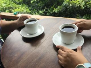 Las Tilapias Hotel - 2