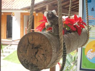 Recanto da Praia - Parati - 5