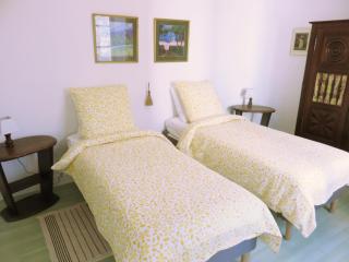 Lemoniegites - Lemonie - 1