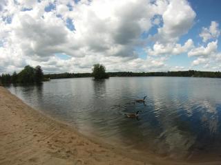ROM - Haus am See mit Sandstrand & Seeblick nahe Rhein-Main und Spessart - Kahl am Main - 0