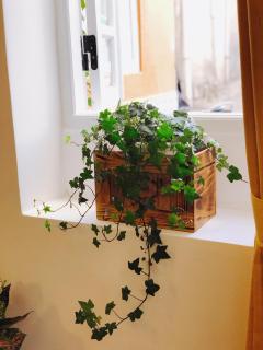Suri’s Apartment - Suri’s House 2 - Dalat - 2