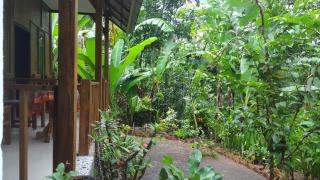 Tetebatu Indah Homestay - Tetebatu - 6