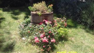 B&B Casa Losea - Castello delle Forme - 7