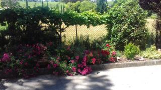 B&B Casa Losea - Castello delle Forme - 5