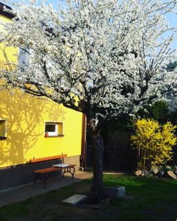 Apartmán Novákovi - Náchod - 9