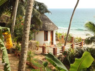 Soma Palmshore - Kovalam - 0
