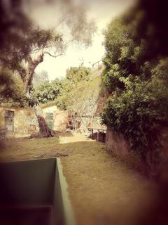 Hotel Villa Belvedere - Bonassola - 8