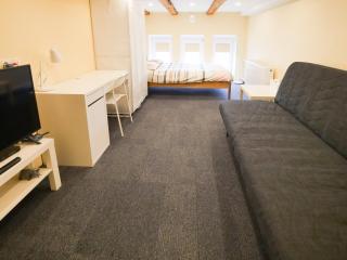 Low Ceiling Apartment - Riga - 1