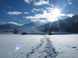 Gästehaus Weber - 7