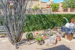Running Coyote - Oro Valley - 9