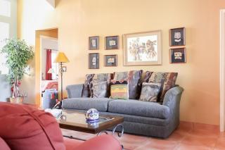 Running Coyote - Oro Valley - 3
