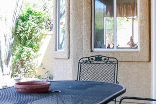 Running Coyote - Oro Valley - 2