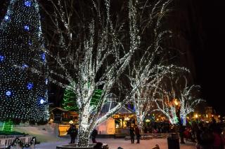 Merry Creekside Retreat - 5