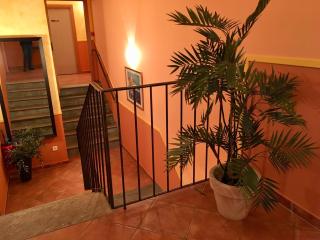 Hotel Du Vignoble - Patrimonio - 8