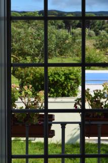 Quinta De Catralvos - Azeitao - 9
